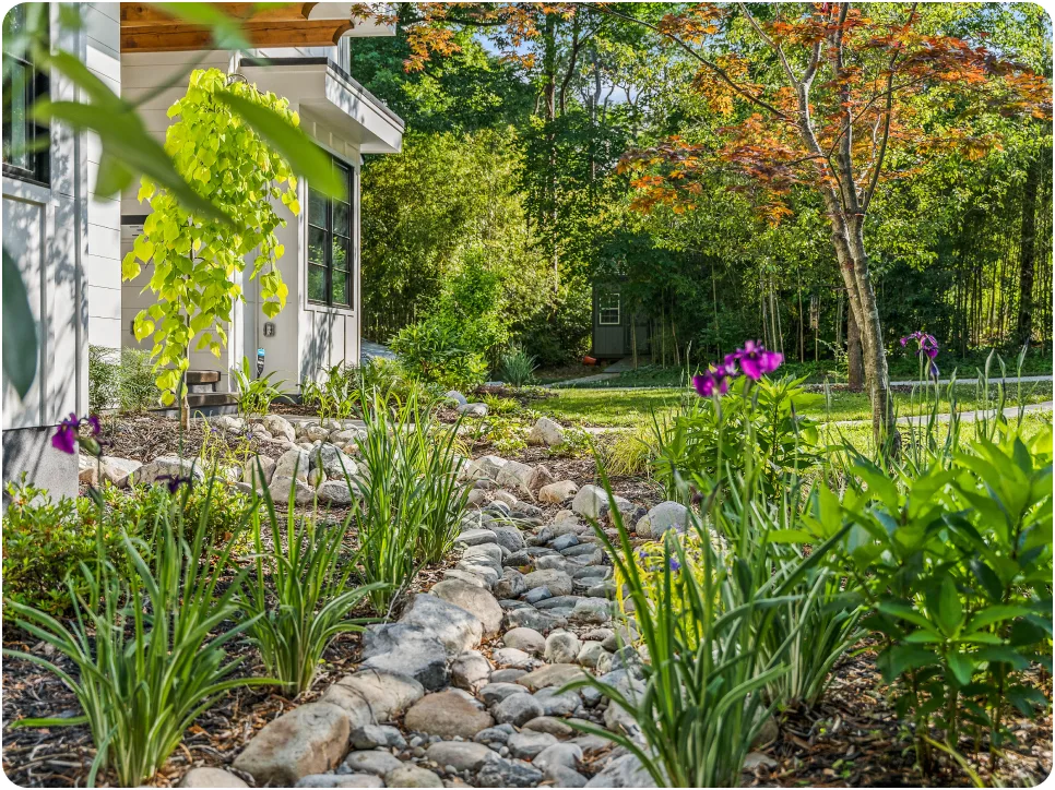 Custom landscape design and planting in Charlotte